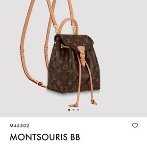 Louis Vuitton Montsouris BB